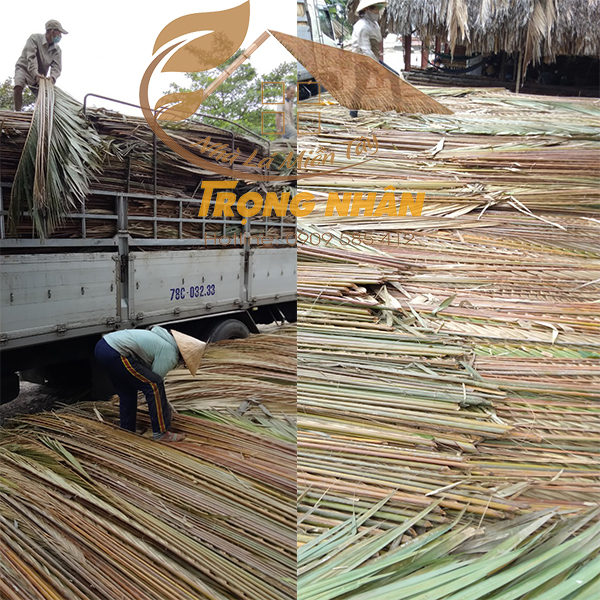 NHÀ LÁ TRỌNG NHÂN