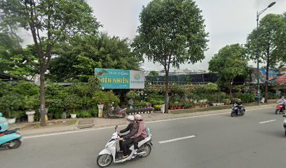 Top 3 Cửa Hàng Hoa Kiểng Uy Tín Tại Hiệp Bình, Thủ Đức: Không Gian Xanh Cho Mọi Nhà