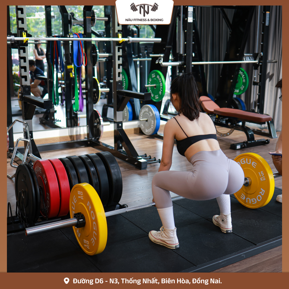 Top 3 Phòng Gym Uy Tín Tại Biên Hoà – Đội Ngũ Huấn Luyện Viên Chuyên Nghiệp, Chất Lượng Hàng Đầu