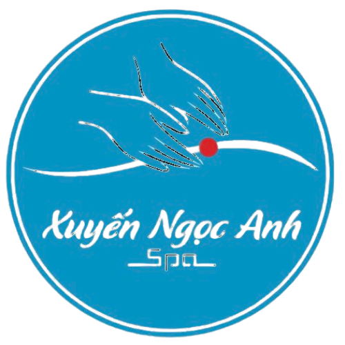 Top 3 Spa Đáng Thử Nhất Tại Quận 10: Địa Điểm Thư Giãn Được Yêu Thích