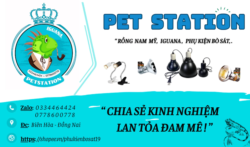 Top 3 Shop Bán Phụ Kiện Bò Sát Giá Rẻ ở Đồng Nai