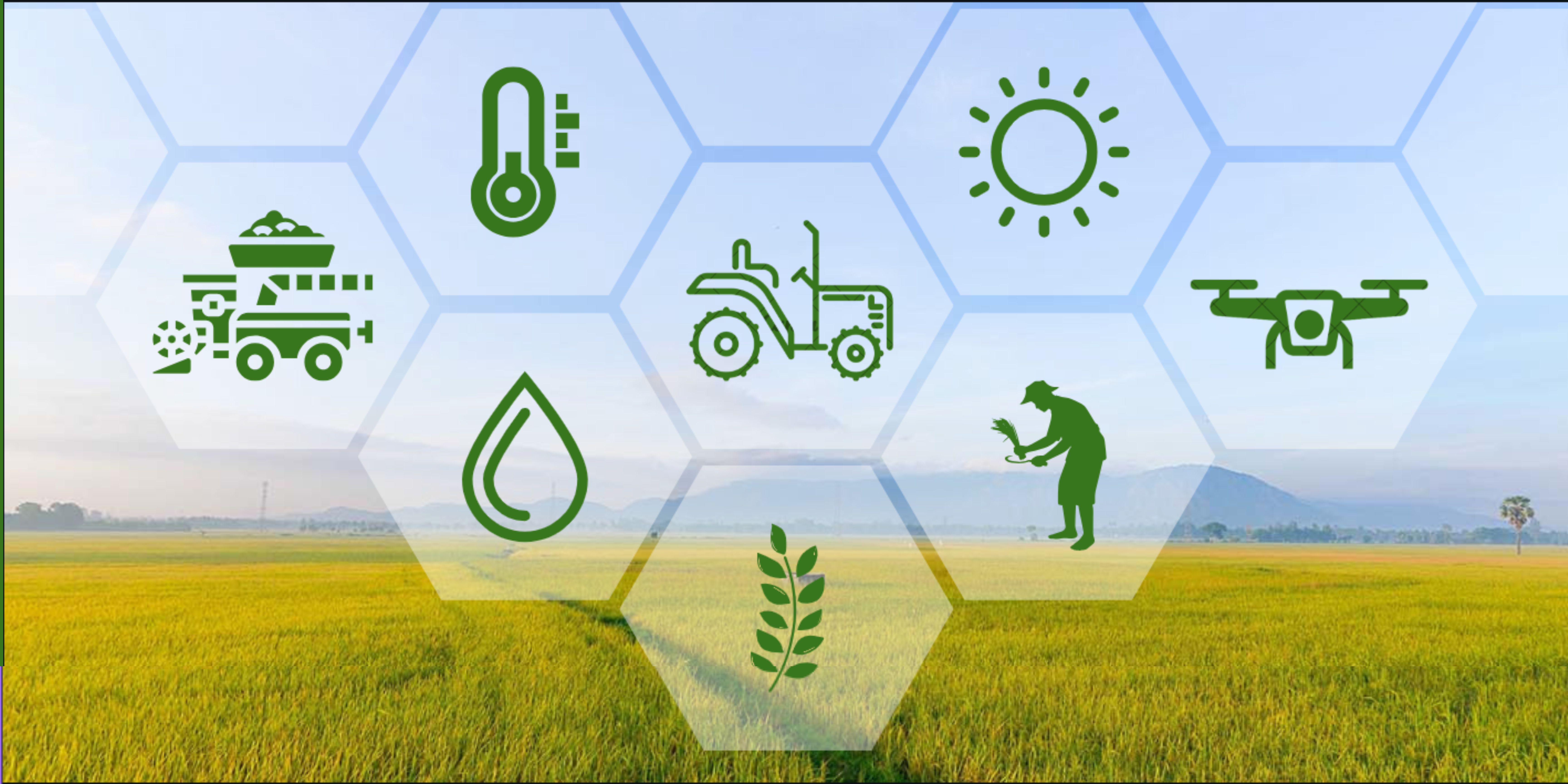 Top 3 công ty phân phối phân bón chất lượng nhất Bình Dương