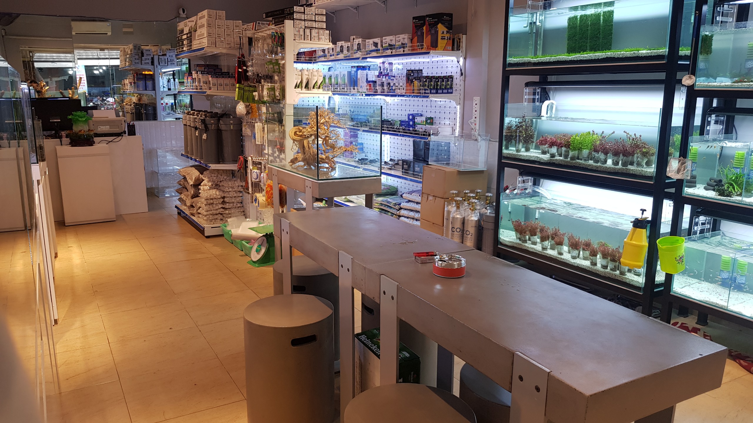 Top 3 cửa hàng thủy sinh tại Quận Phú Nhuận