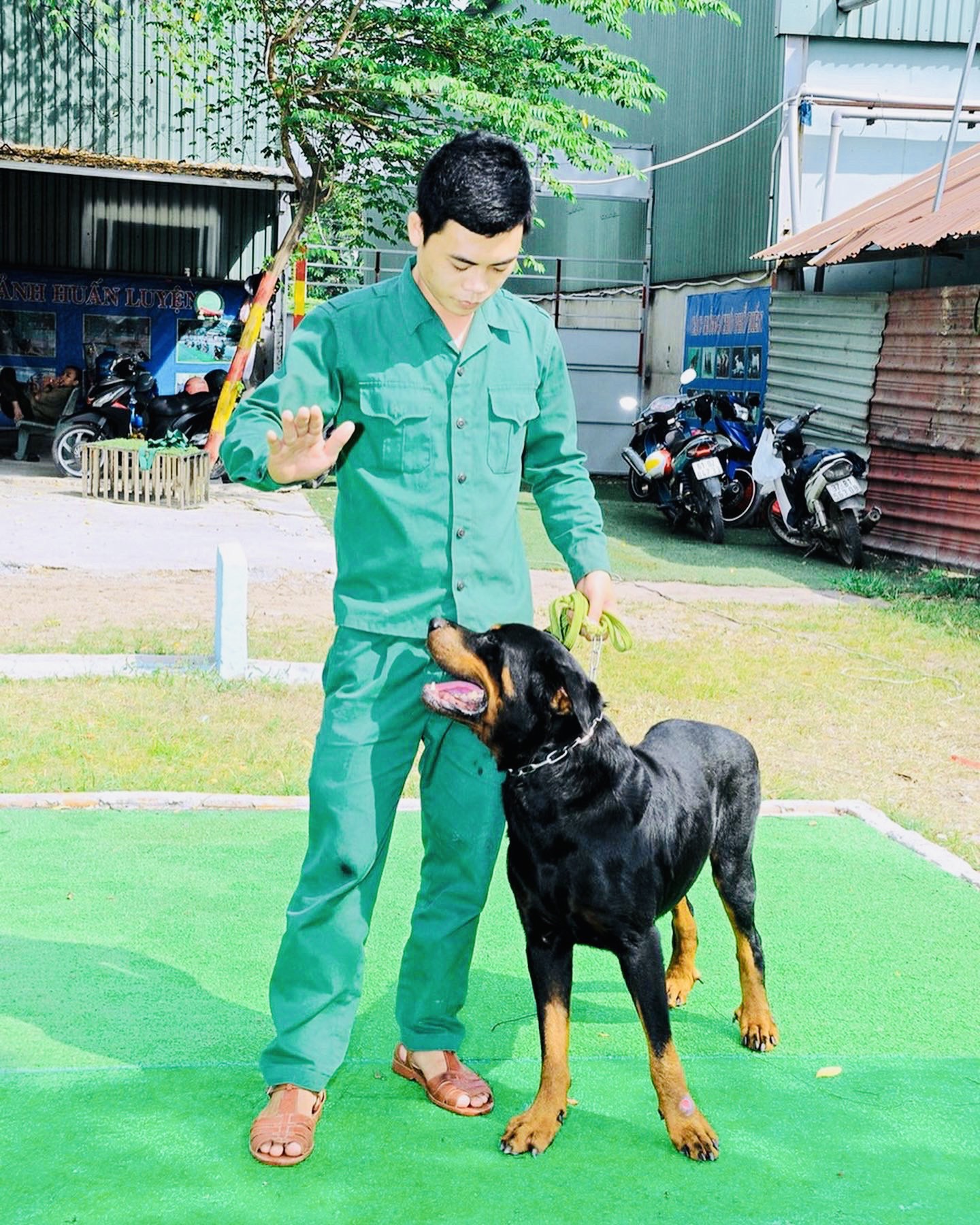 TRƯỜNG HUẤN LUYỆN CHÓ NGHIỆP VỤ UY TÍN NHẤT HỒ CHÍ MINH