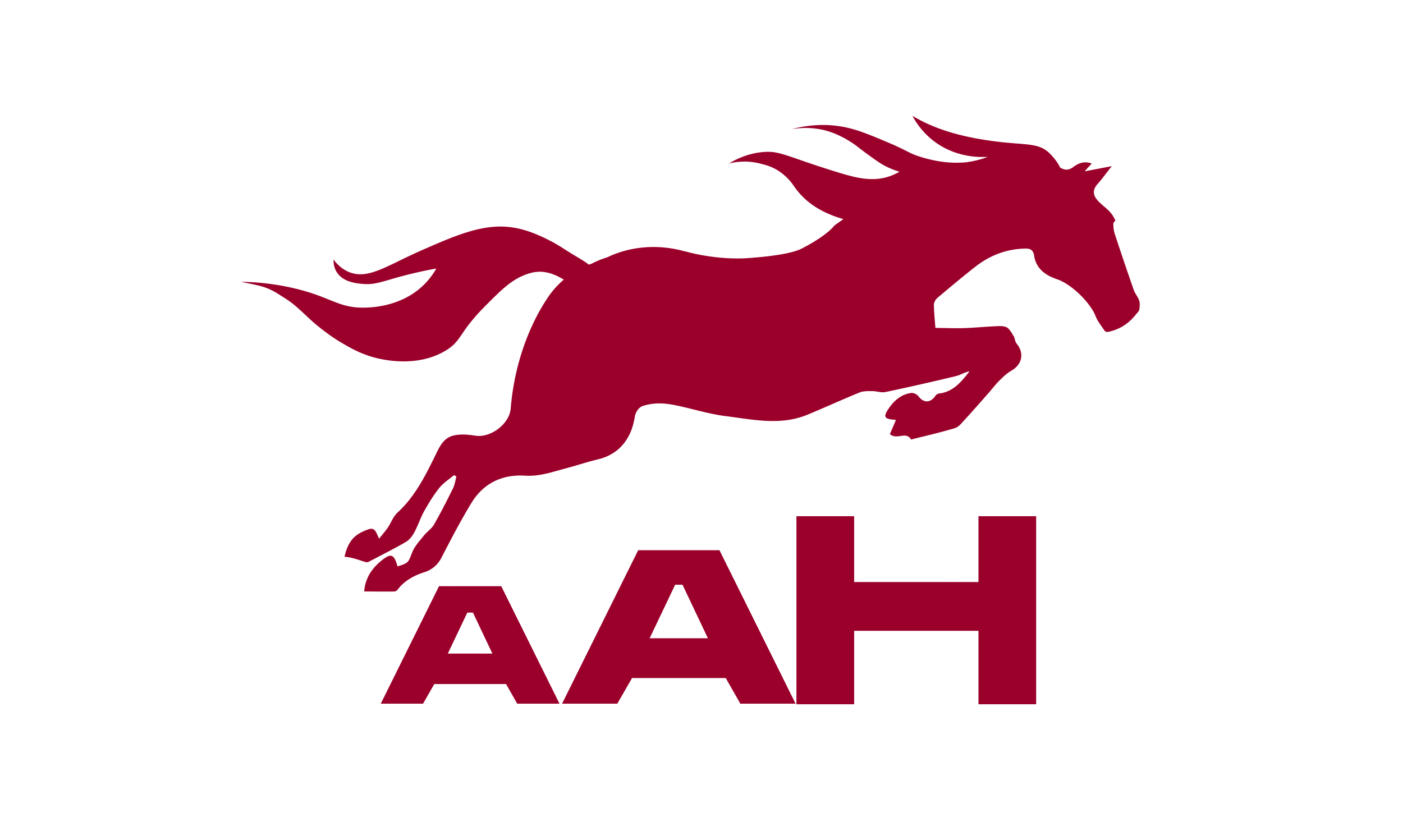 Review Công ty dệt vớ AAH