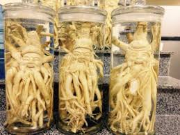 Top 3 Địa chỉ chuyên bán đồ ngâm rượu ngon và uy tín nhất ở TP. HCM