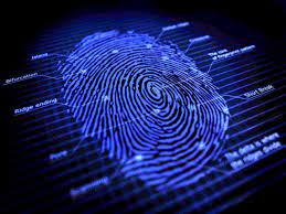 Làm sinh trắc vân tay ở đâu uy tín ở TPHCM