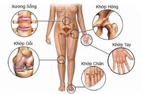 Top 3 Lý Do Chọn Phòng Khám Vật Lý Trị Liệu Vĩnh Huy – Nơi Chăm Sóc Sức Khỏe Toàn Diện Tại TP.HCM1