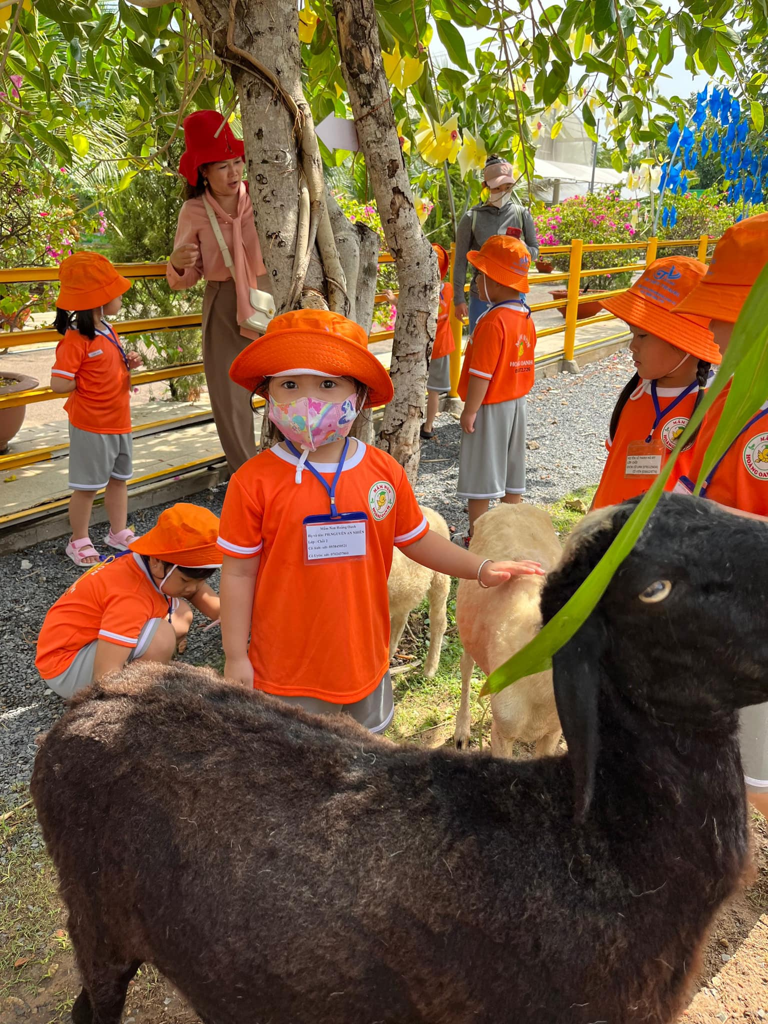 Top 3 Trường Mầm Non Quận 8: Được Yêu Thích Nhất Bởi Phụ Huynh