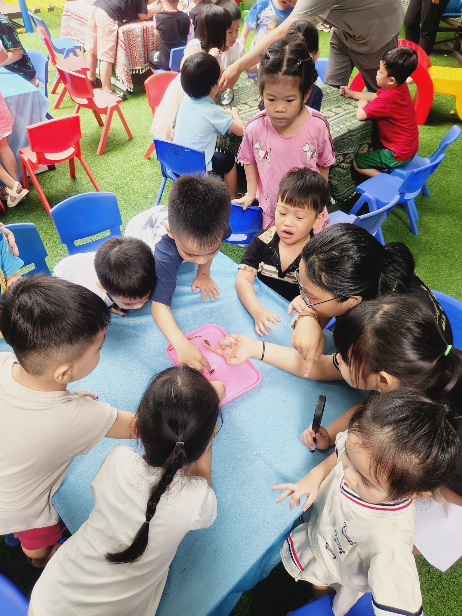 Top 3 Cơ Sở Mầm Non Chất Lượng Nhất Gò Vấp