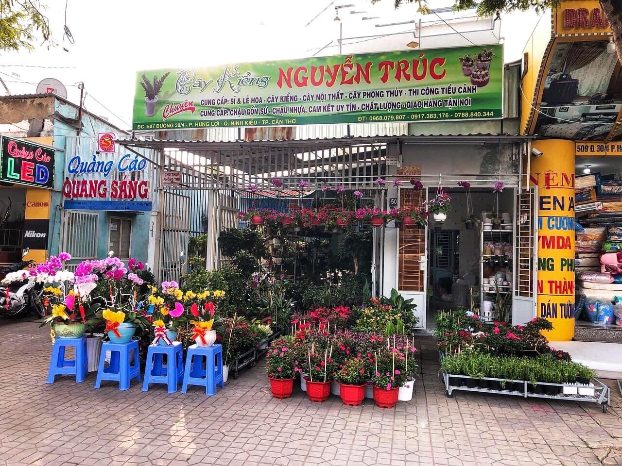 Top 3 Đơn Vị Cây Cảnh Uy Tín Nhất Cần Thơ