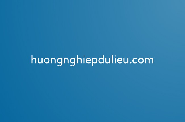 Top 3 Đơn Vị Hướng Nghiệp Dữ Liệu Uy Tín Tại TP. HCM