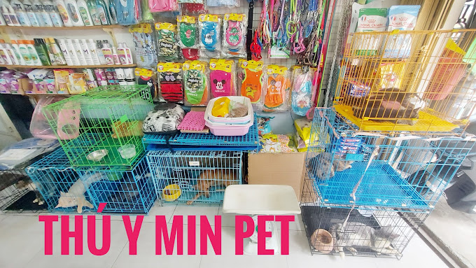 Top 3 Phòng Khám Thú Y Uy Tín Tại Bình Thạnh