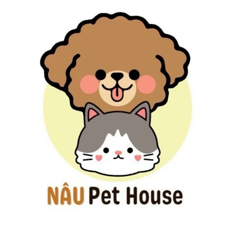 Top 3 Cơ Sở Spa Thú Cưng Uy Tín Tại Thảo Điền