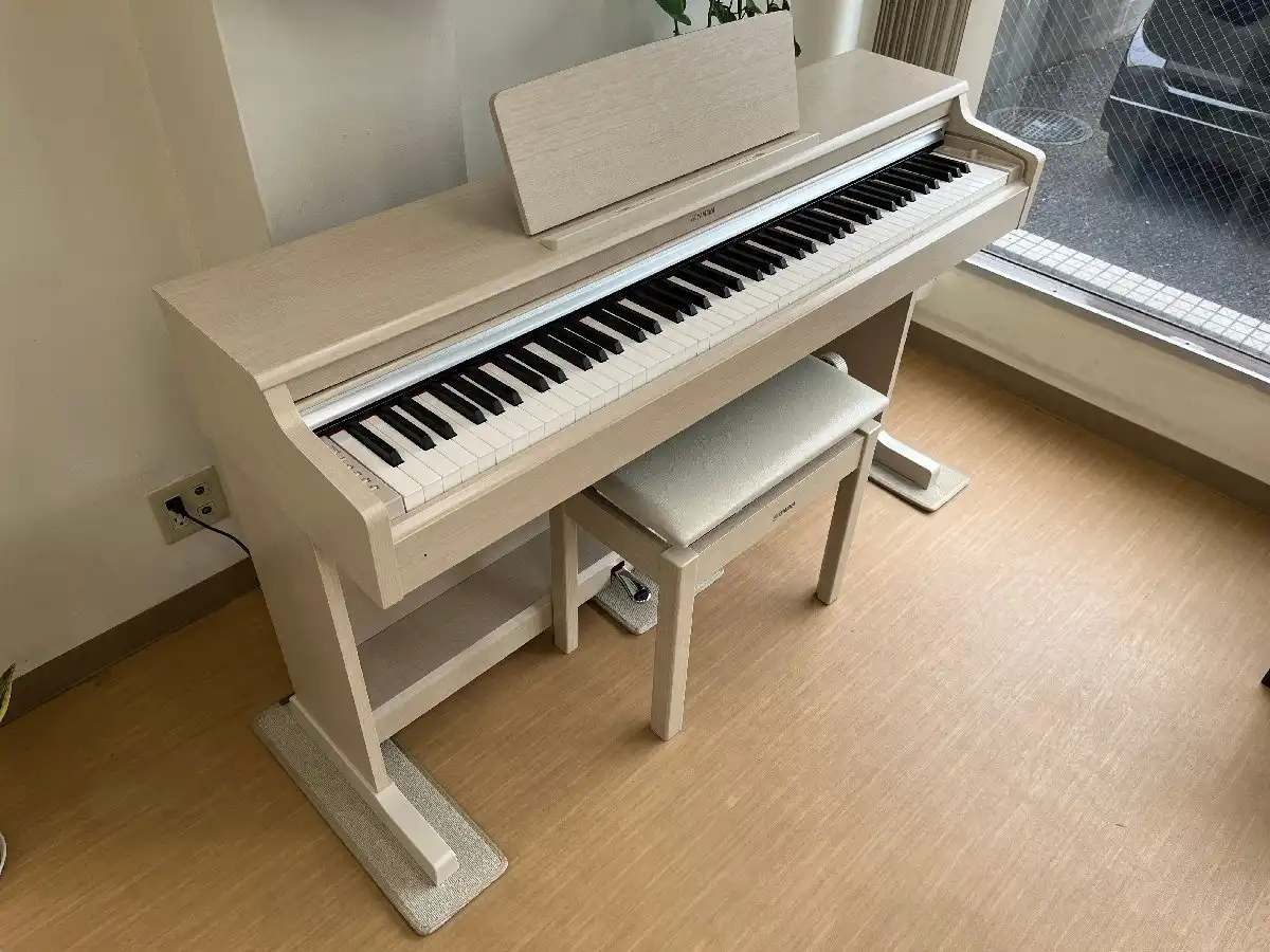 Top 3 Cửa hàng Kinh doanh Đàn Piano Uy Tín tại Hồ Chí Minh