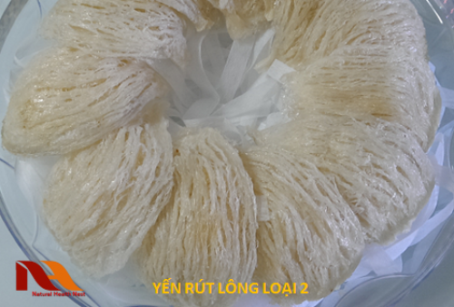 Top 3 Cửa Hàng Yến Sào Cao Cấp Uy Tín Nhất Tại Bình Thạnh