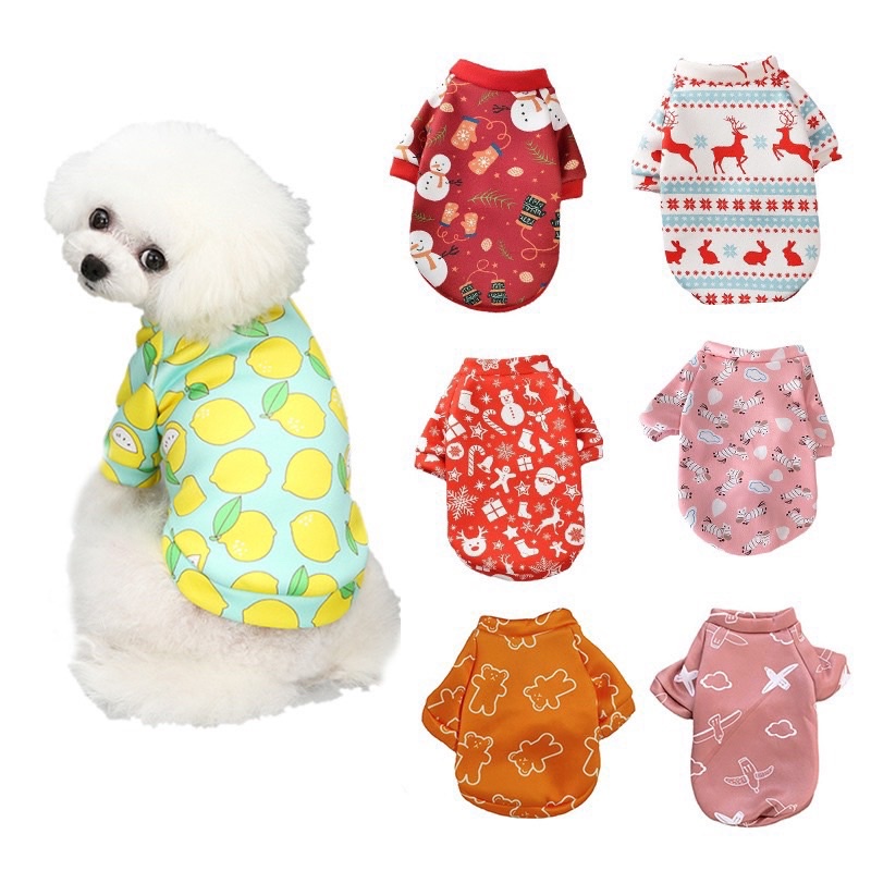 Top 3 Xưởng May Và In Áo Thú Cưng Được Yêu Thích Nhất Tại Vũng Tàu